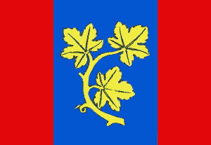 Prapor města Benátky nad Jizerou