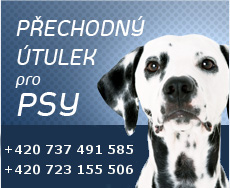 Psi utulek